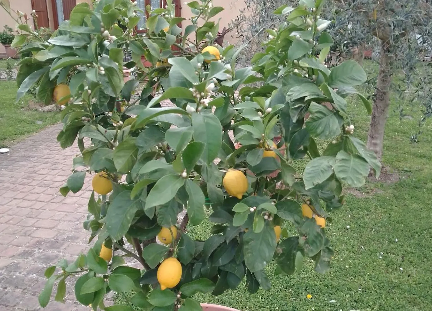 Homestay Casina Gialla Fabbricaccia Italy